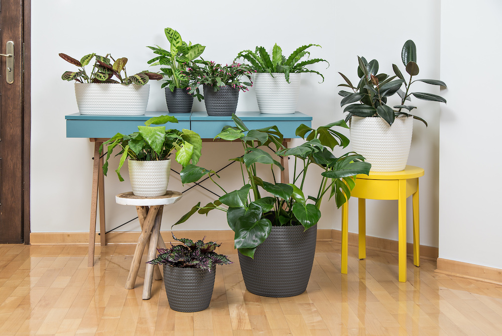 Lamela kvetináč - kvetinový obal JERSEY pletený vzor antracit