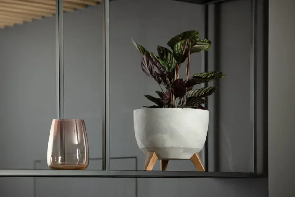 Lamela kvetináč - misa ROMA na nožičkách sivý betón